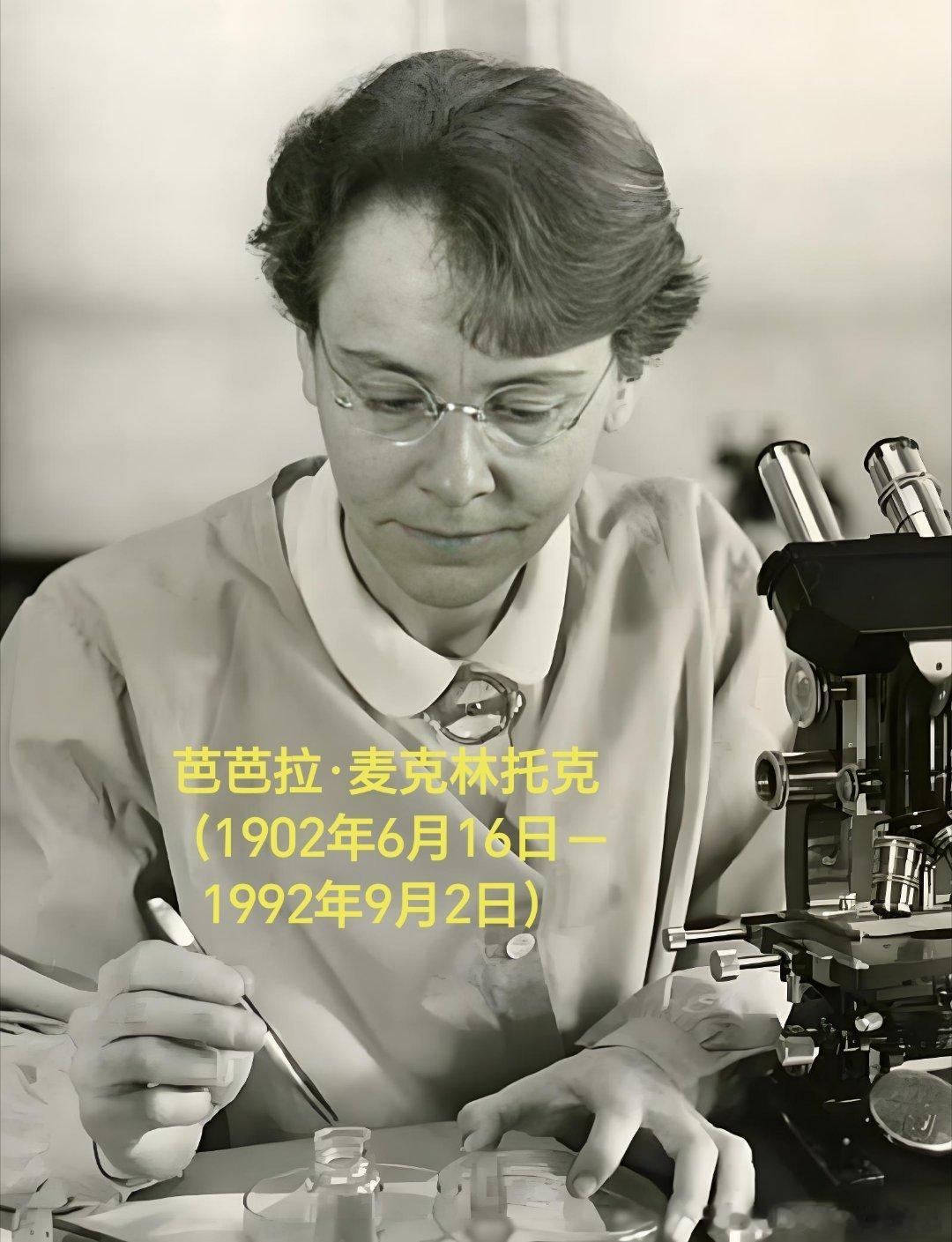 1902年06月16日124年前历史上的今天：美国科学家巴巴拉·麦克林托克出生芭