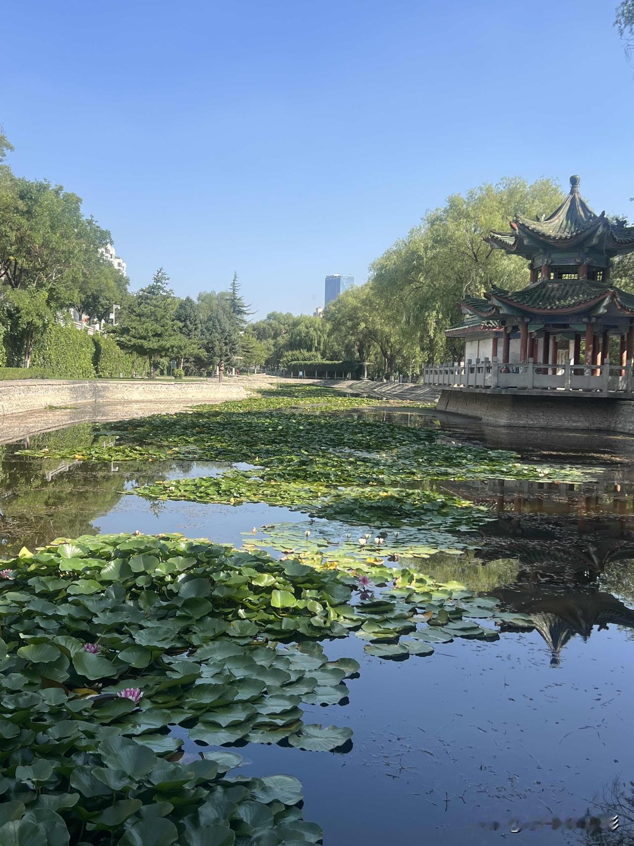 人这一辈子，活出自身价值，不与任何人攀比，活成自己偏爱的模样。可不少人总下意识仰