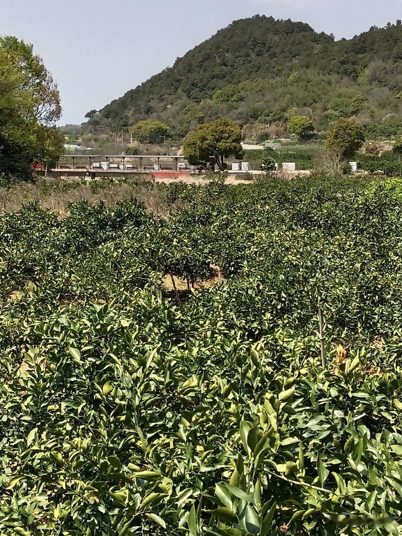 都说知识改变命运,读书有用吗? 都说知识改变命运，读书有用吗？知识当然能够改变命