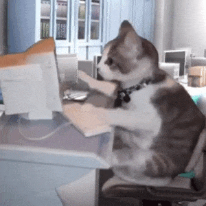 宫女干到25岁就可以出宫了哈哈，现在法定退休年龄男性60女性55，想想就扎心