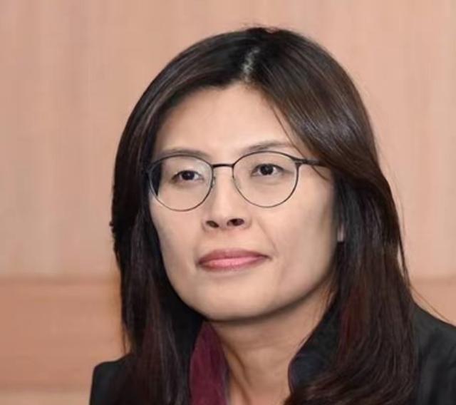 台湾国民党主席郑丽文在接受专访时表示，台湾不会也不能接受香港模式。

郑丽文上任