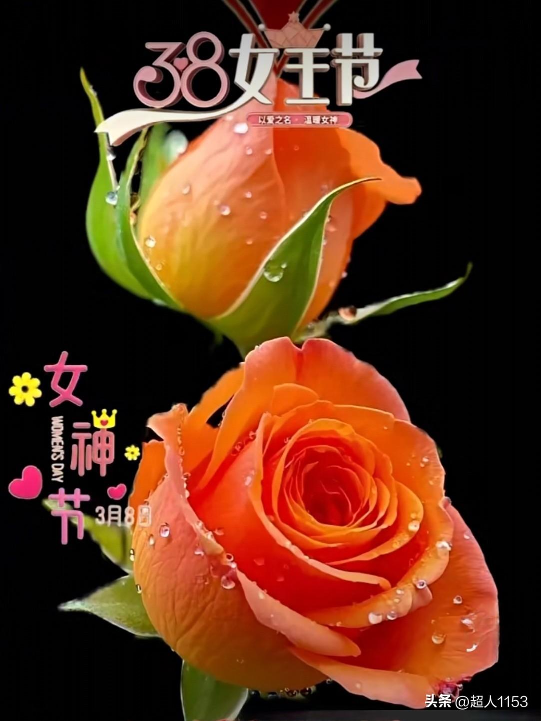 今天是3月8日女神节，
我要把最美好的祝福送给你！

致母亲、致妻子、
致女儿、