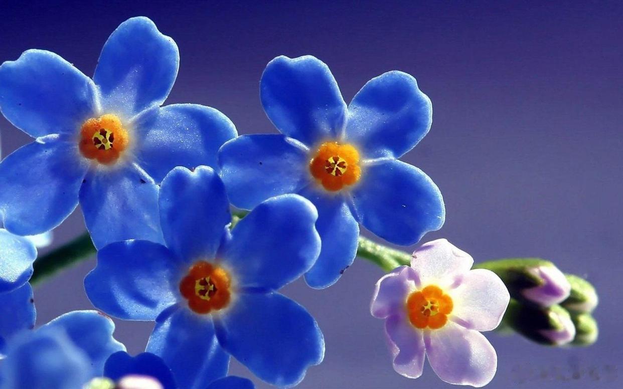 《日落时分说爱你》中的礼礼，她前半生一直都是在为女儿而活，把所有的精力和时间都放