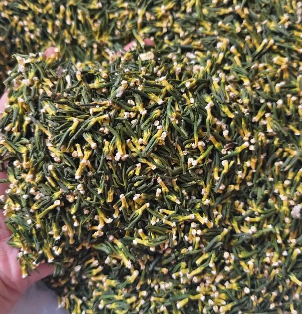 一味药，补肝补肾又固精，阳痿早泄用它，比吃那非强

最近好多朋友跟我吐槽：“陈教