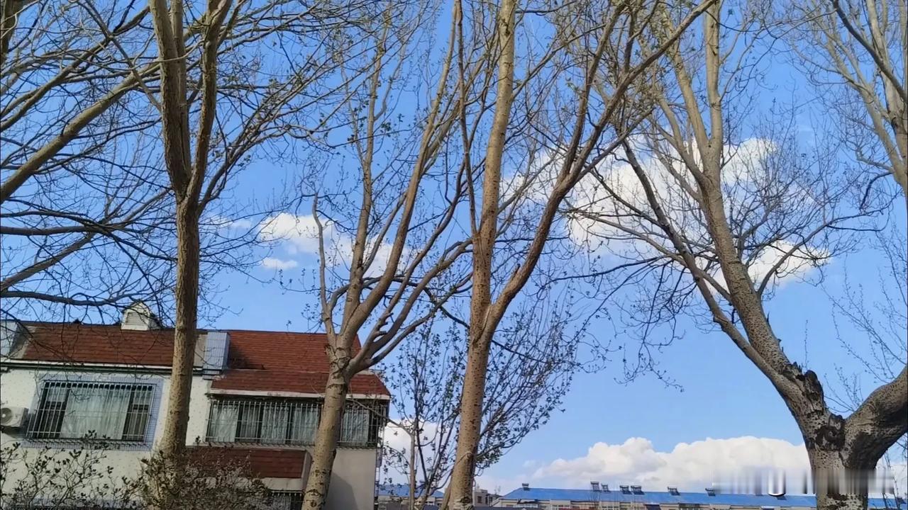 公园美景随拍
