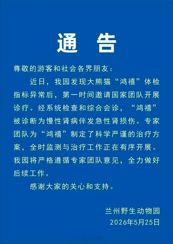 请好好的给豆哥治疗啊。豆哥快点好起来啊