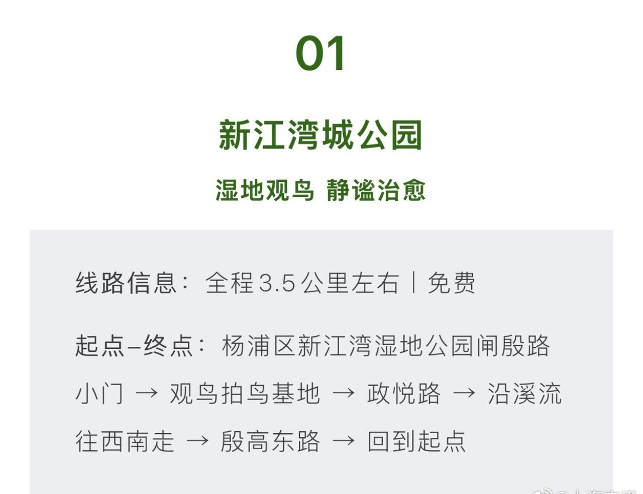 【上海5条轻徒步路线好走出片还免费】过年期间被各种美食投喂，是不是急需一场轻徒步