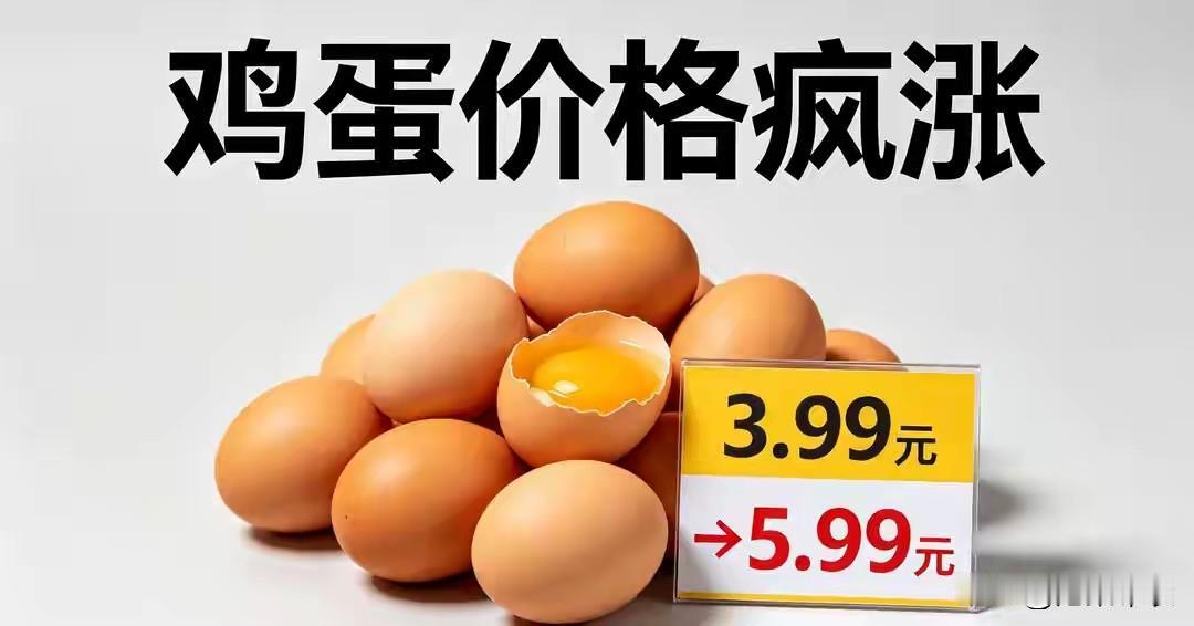 鸡蛋价格大涨80%！6月初，全国各地鸡蛋价格突飞猛进，价格疯张80%左右，批发价