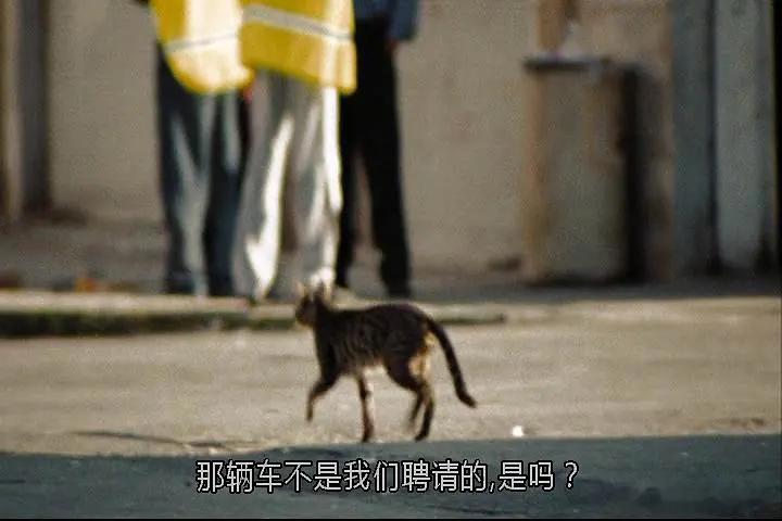 之前看《女性电影人》纪录片的时候，里面讲到“刺点”我觉得很有意思，应该是所有创作