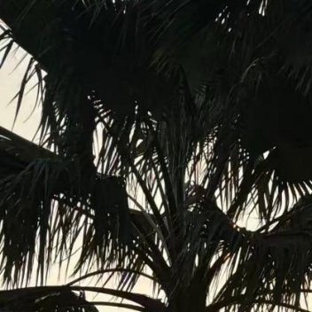 1200我们日行一善，并不是放下手中的一切事情，刻意地去做好事，而是带着善心，给