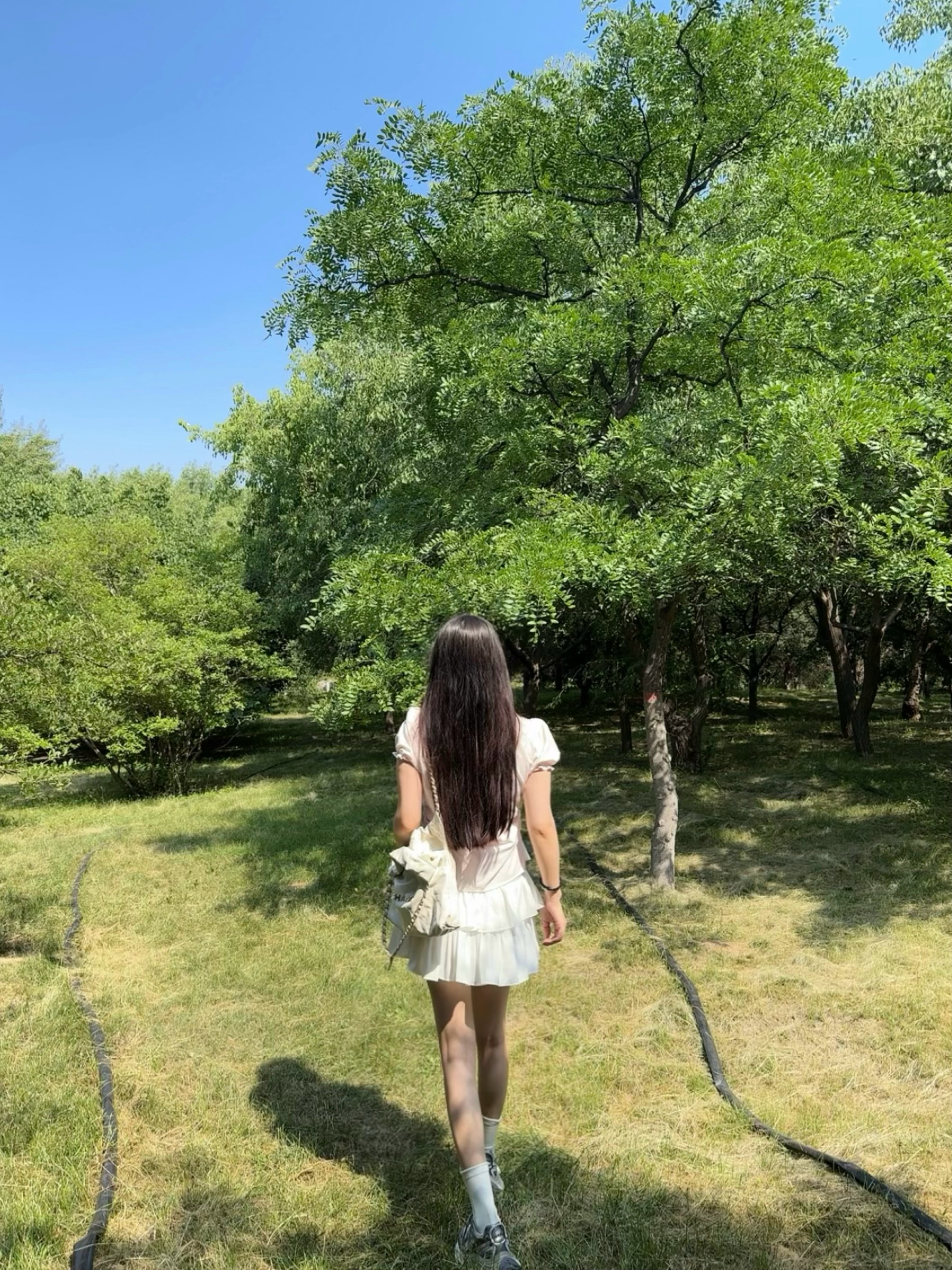 夏日限定  ​​​