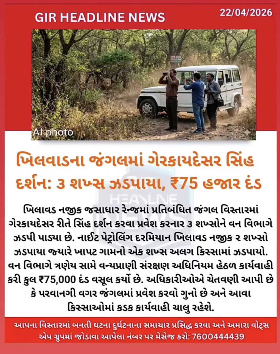 非法观狮的三位村民被罚7.5万卢布。在Khilwad附近的Jessad...