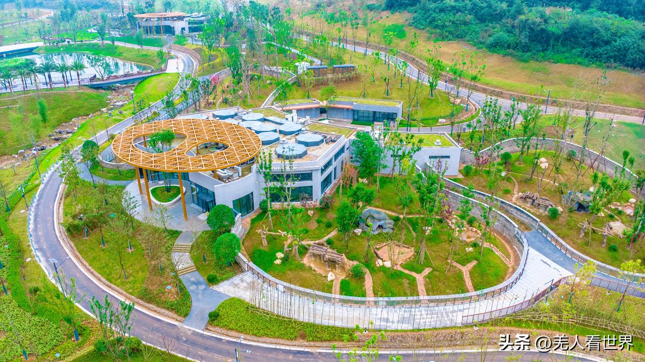 11月4日，国宝大熊猫“茜茜”“娅祥”“草草”“美灵”“美茜”“竹灵”“银柯”“