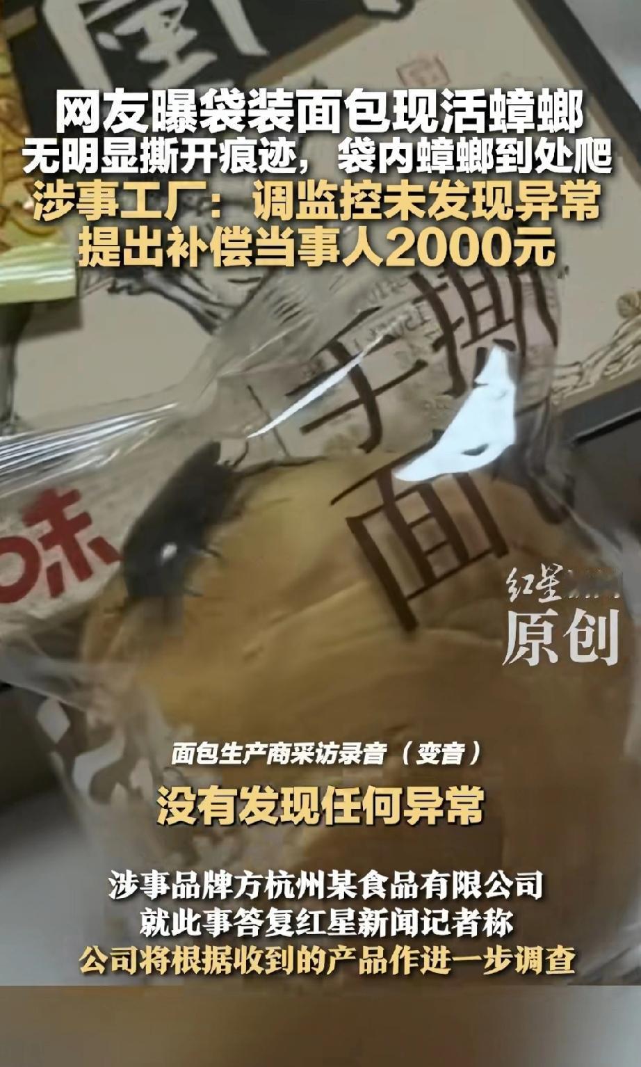 密封包装的手撕面包里有一只活蟑螂[捂脸]。
刚看到某草味的面包里居然有一只活的蟑