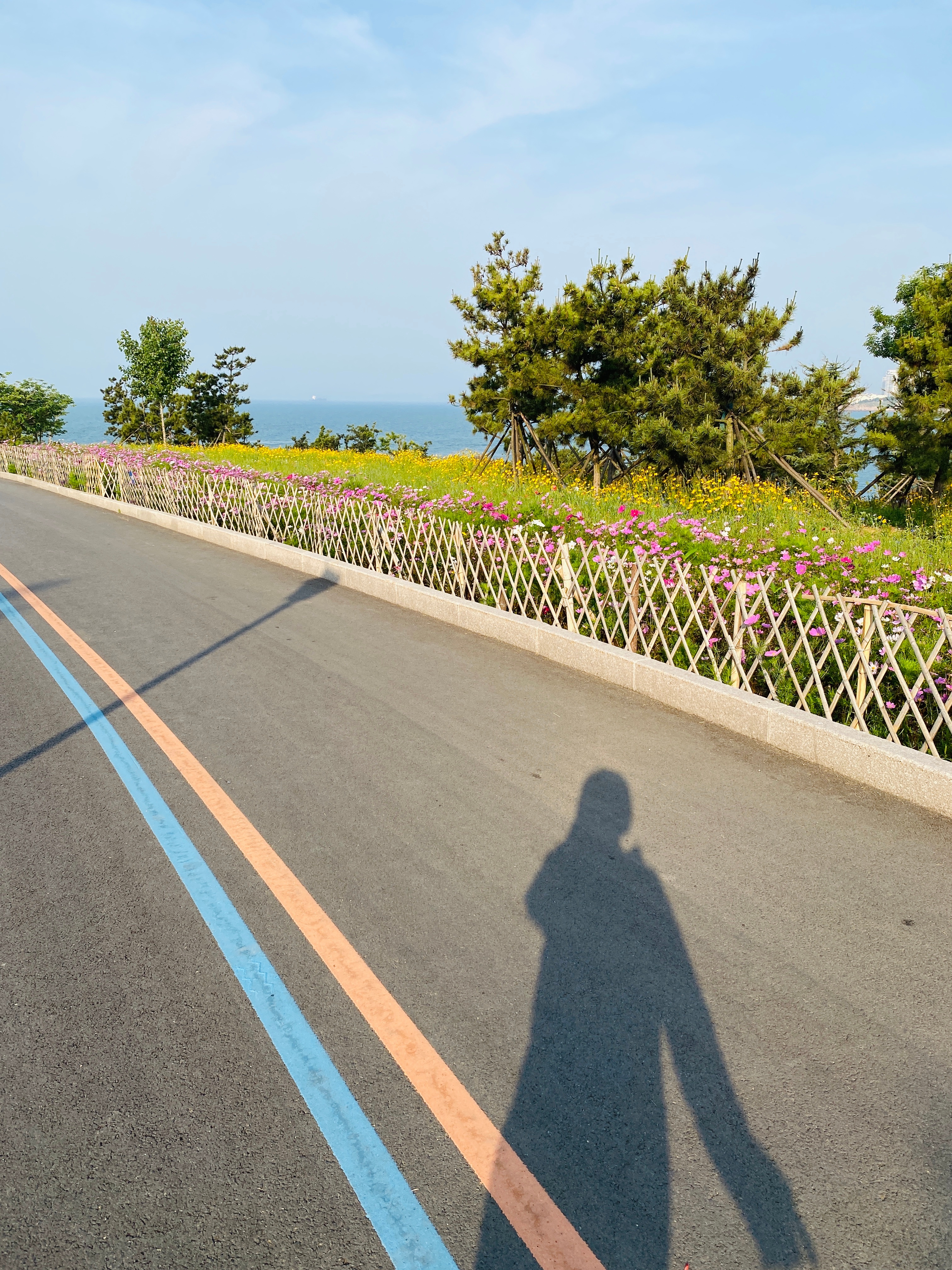 #日常# 五点起床去岛上快走一小时，几乎独享清晨小岛美景，大学路附近也打卡👌这