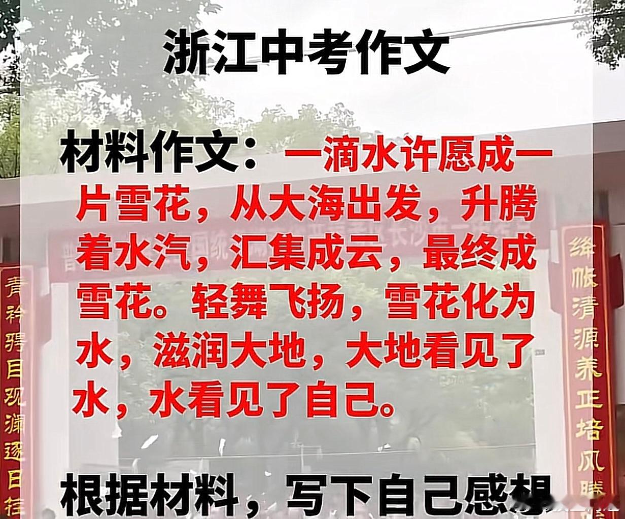 这个中考作文很开阔啊，一网友评论， 我问我上初一的儿子，他总结了一句话，由此可见