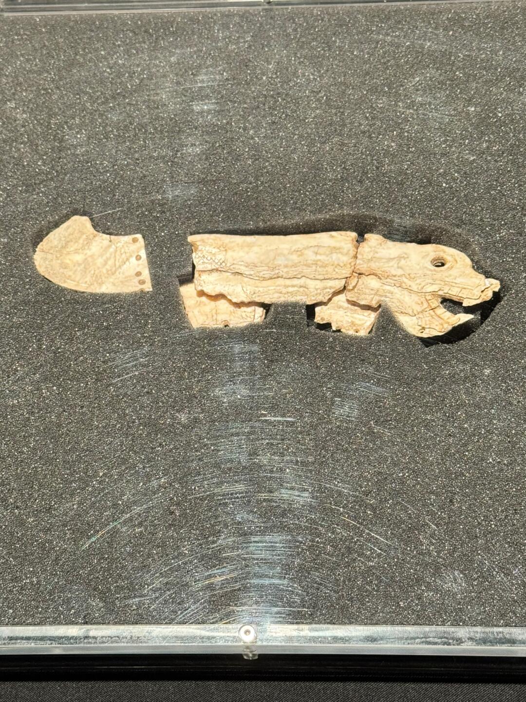 红山文化的蚌龙比二里头中华第一龙还要早