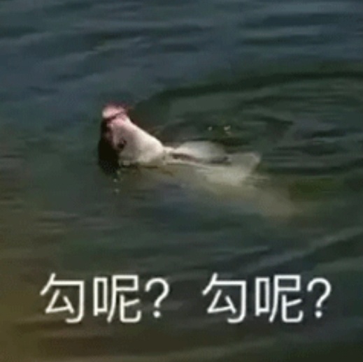 【[摊手]】 ​​​