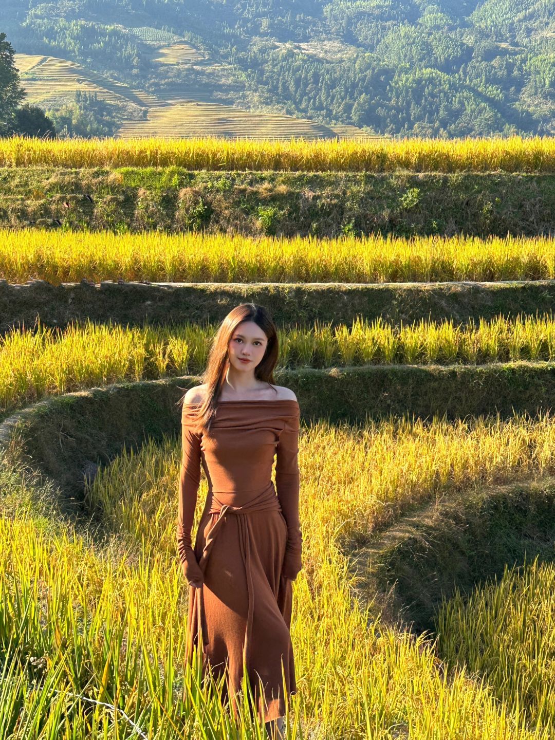 金色梯田里的美拉德🌾