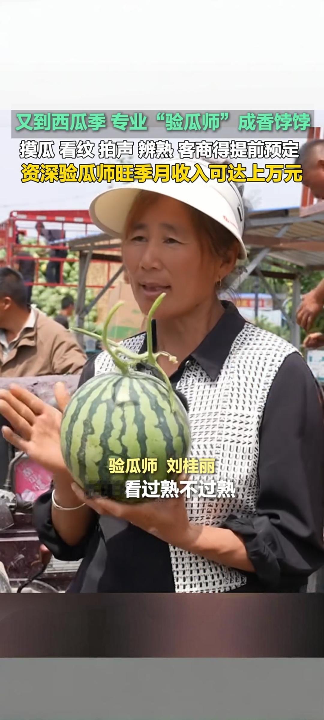 菏泽定陶西瓜季来袭 专业验瓜师成市场“香饽饽”
 
5月13日，菏泽市定陶区迎来