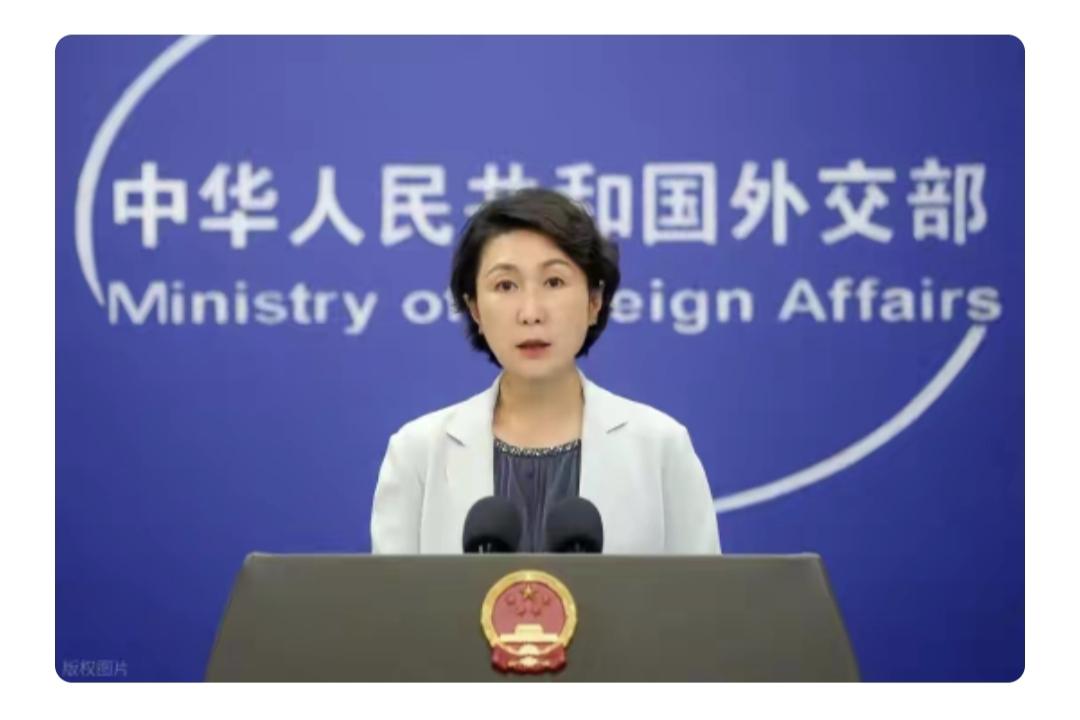 欧洲执意让台独参会，是想把一个中国的水搅浑，更是肆意的挑衅，中国必须态度坚决地亮