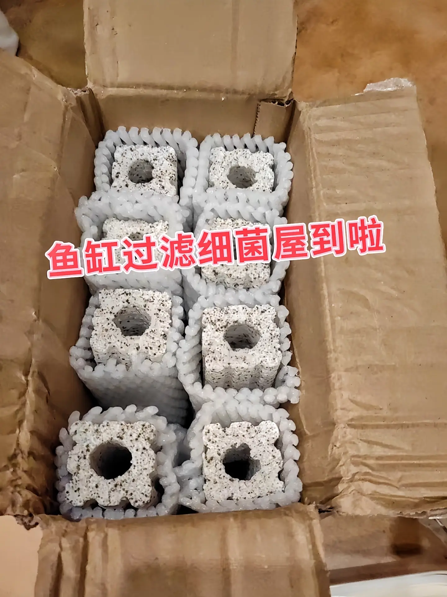 首先，它能为硝化细菌提供附着场所。硝化细菌在鱼缸生态中非常重要，可将水...