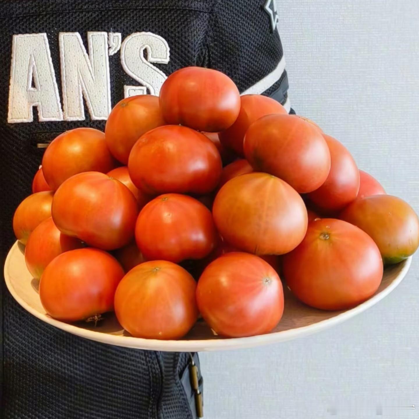 摩登兄弟 | 任贤齐晒蓝莓铁皮柿子感谢刘宇宁对于宁宁而言，小齐哥不仅仅是前辈是搭