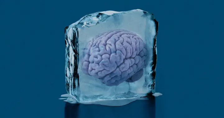 大脑冷冻十年后，复活的希望有多大？