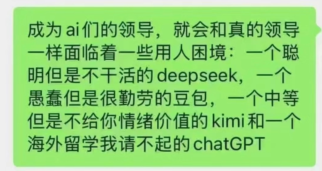 deepseek一两分钟干了我一两天的活 成为Ai们的领导，也会有用人困境。聪明