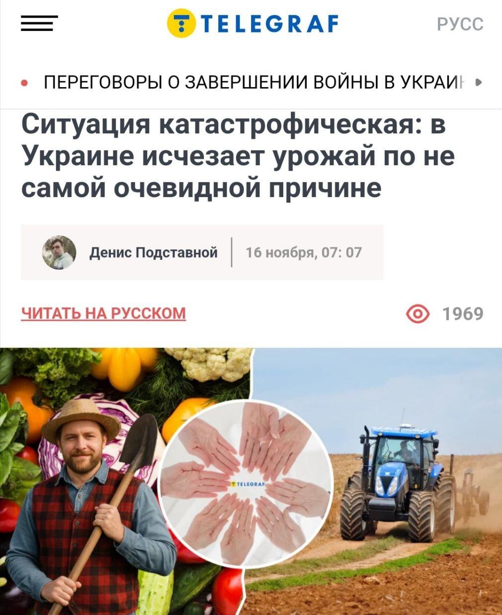 日前乌克兰《电讯报》报道称。乌克兰目前庄稼颗粒无收，因为所有男人都被征召入伍了