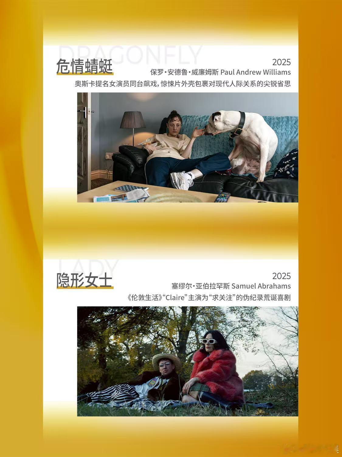 【SIFF展映片单-世界万象】上海国际电影节片单发布  ✨“在隐形女士的房间里，