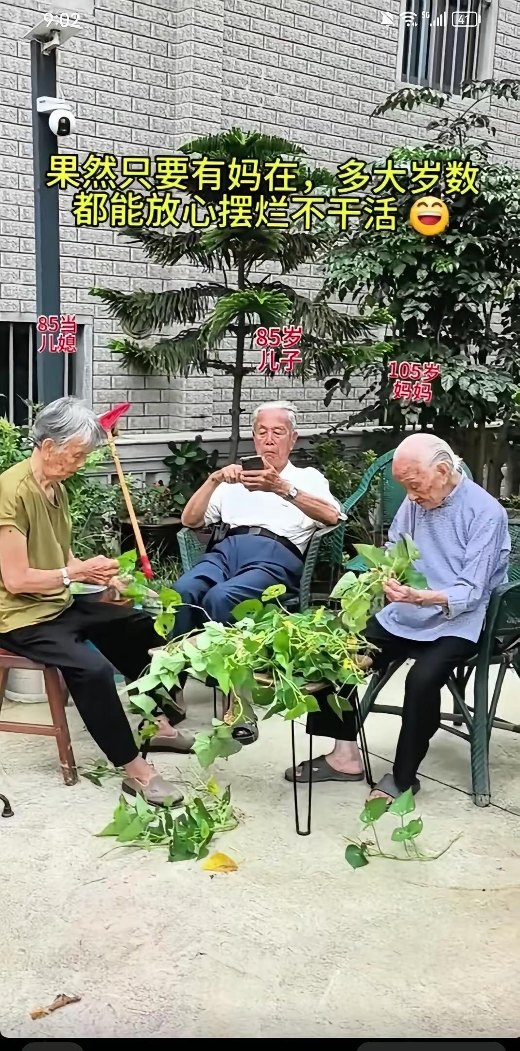 幸福的晚年[比心]
老母：105岁，生活自理，还能摘菜
儿子：85岁，玩着手机，