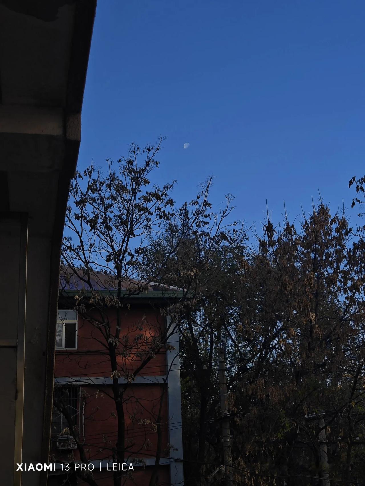 西风落叶送残更，斜月凌枝迎鹊声。
今日暖阳如昨日， 不见昨日陋巷翁。