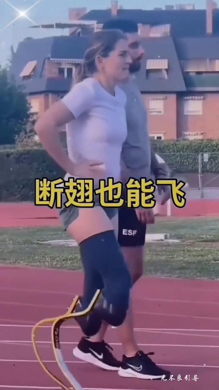 断翅也能飞。