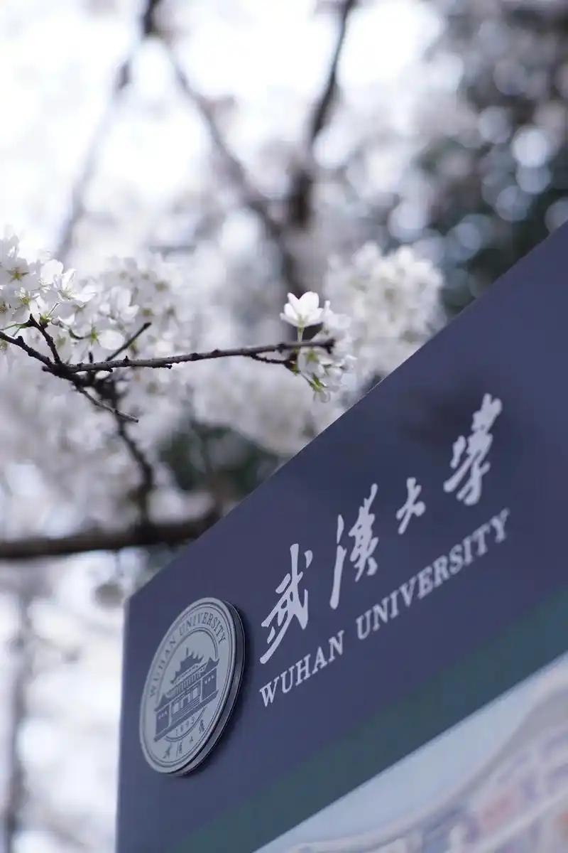 在这个火热的夏天，武汉大学因为自己的两个学生而备受煎熬，甚至相当于被架在火上烤。