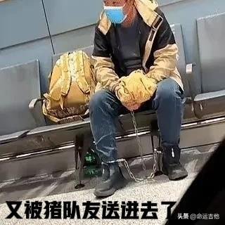 毒狗老人二进宫，最该骂的是那群猪队友
北京毒狗案终审落槌，65岁的张某华终于还是