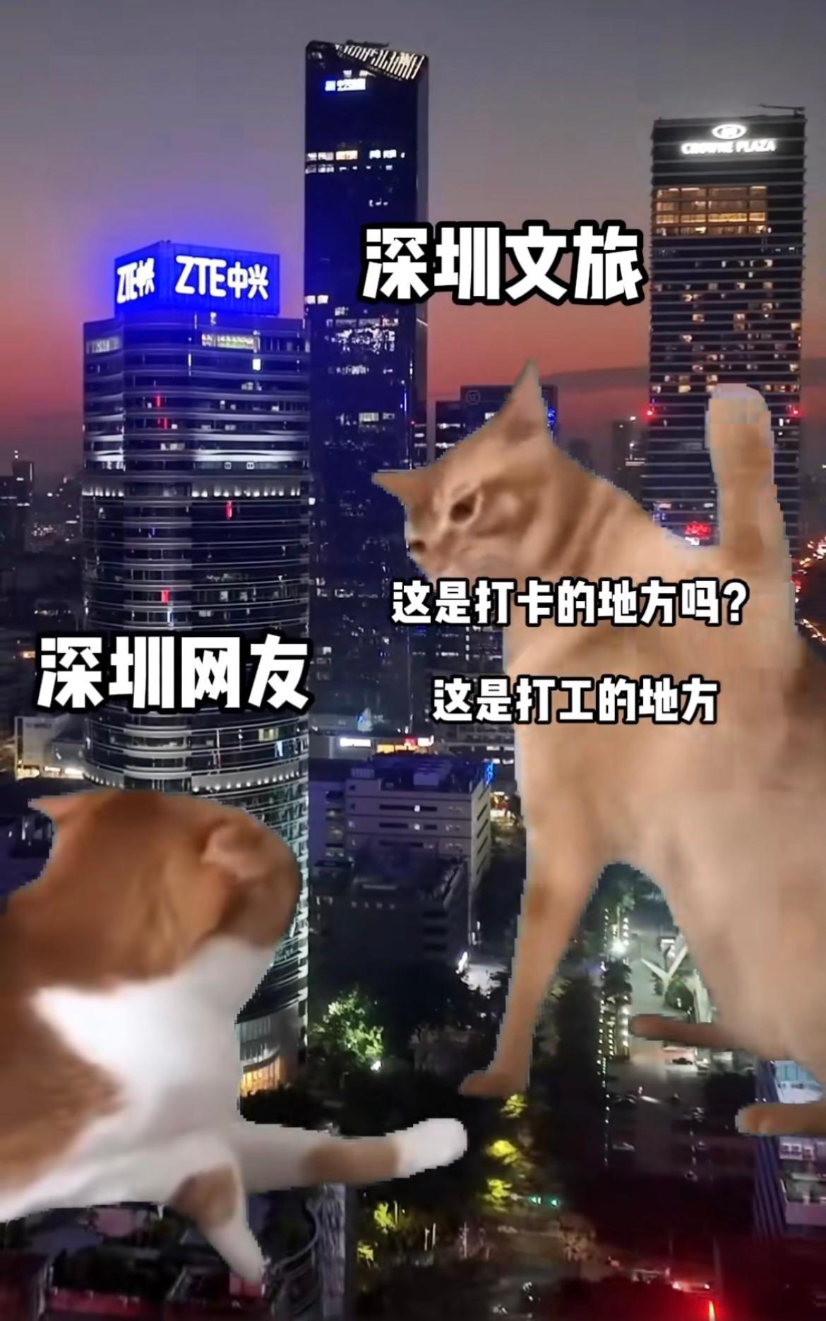 深圳也很适合打卡啊  你不打卡会扣钱#新年接龙大会##新年快乐漫游指南# ​​​