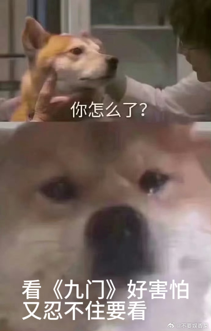 九门 又怂又爱看👻绒花小鬼还没缓过来，饿死鬼紧接着登场，古墓险境接连来袭，追剧
