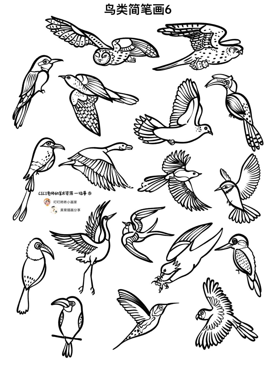 鸟类简笔画6