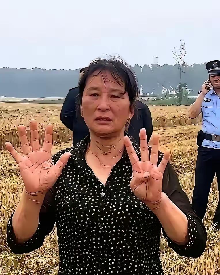 襄阳那场麦收风波，闹到最后，结局比过程更带劲。
 
闹到最后，大妈托侄子，给河南