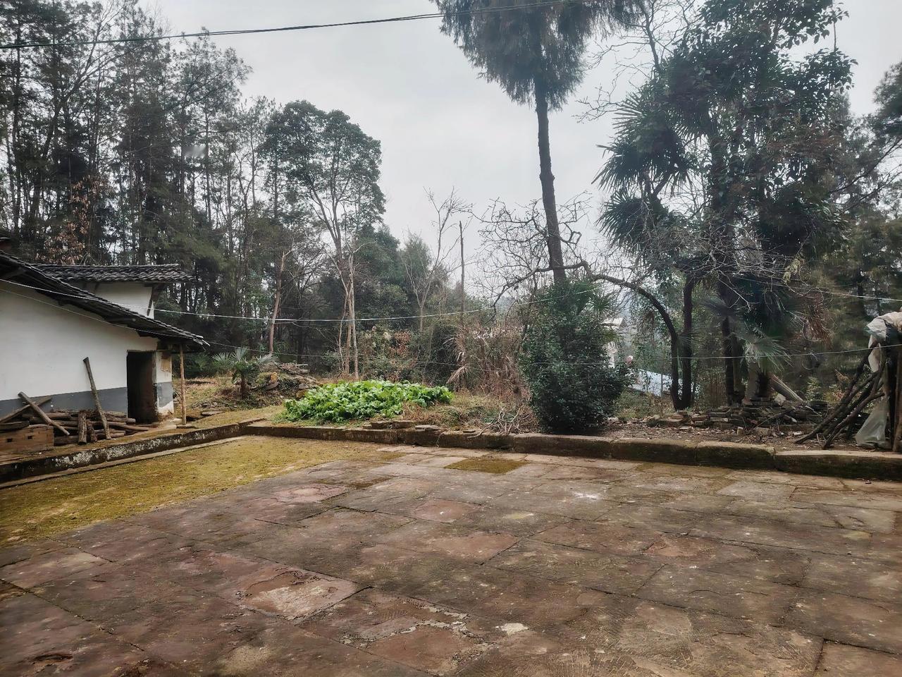 “今天对84岁的老妈来说可算是个极其难忘的日子，老妈弄丢了10块钱，损失颇大哟”