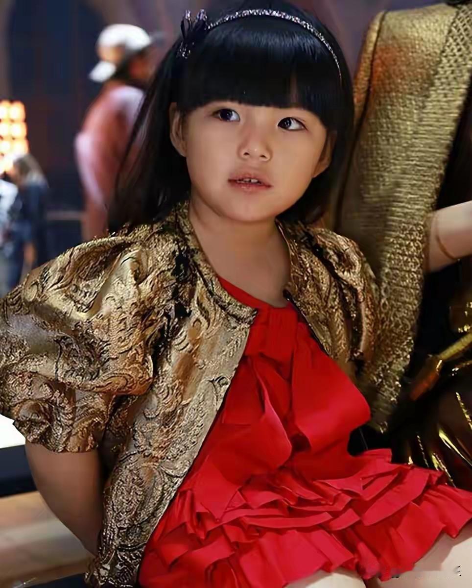当向太陈岚在2024年综艺《我们的美好生活》中，用“富养女的典范”形容刘亦菲时，