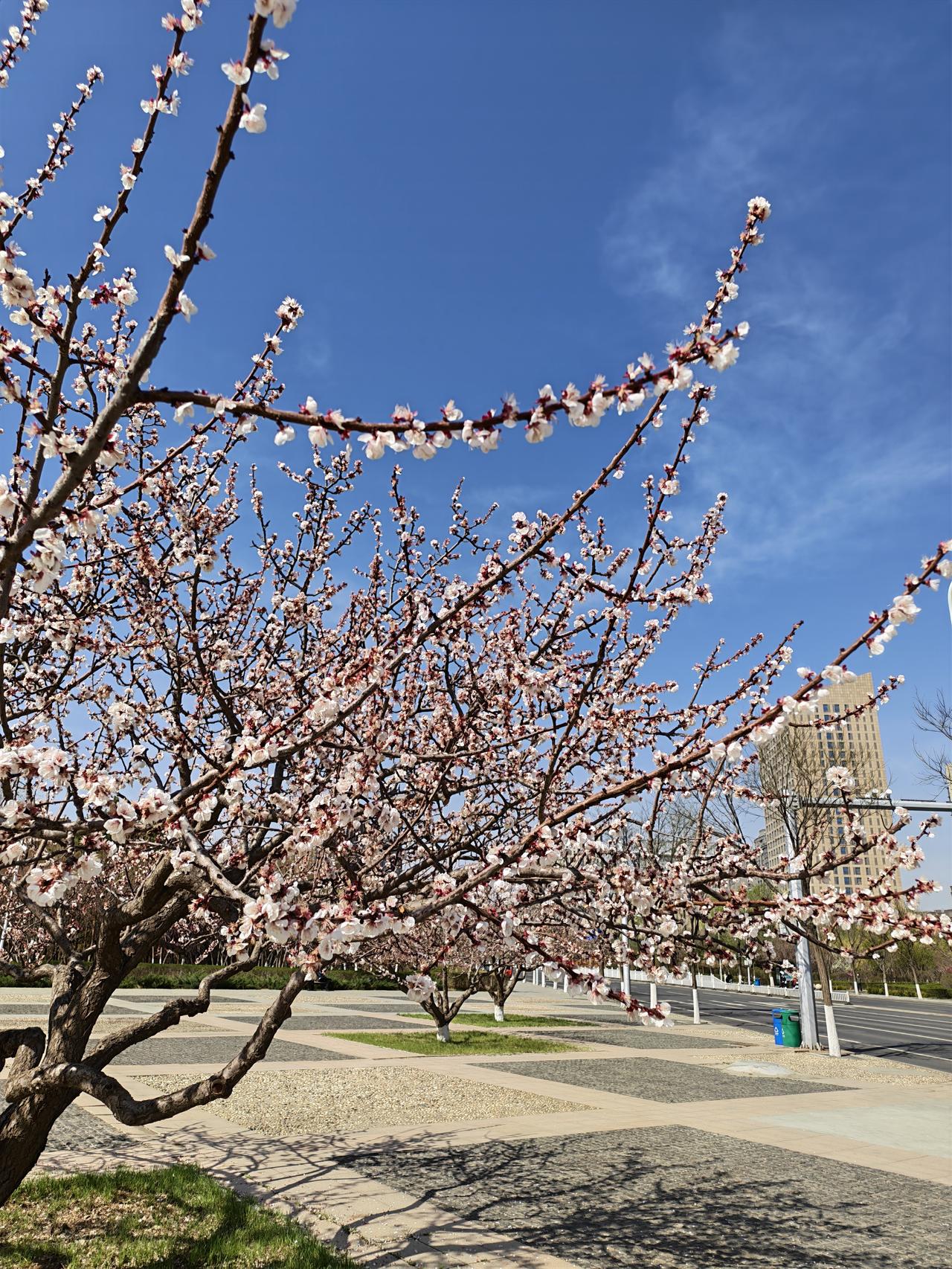 存钱是为了谁？
有的人，嫌弃父母抠抠搜搜的存钱，可是不存钱他又会说这么大岁数了连
