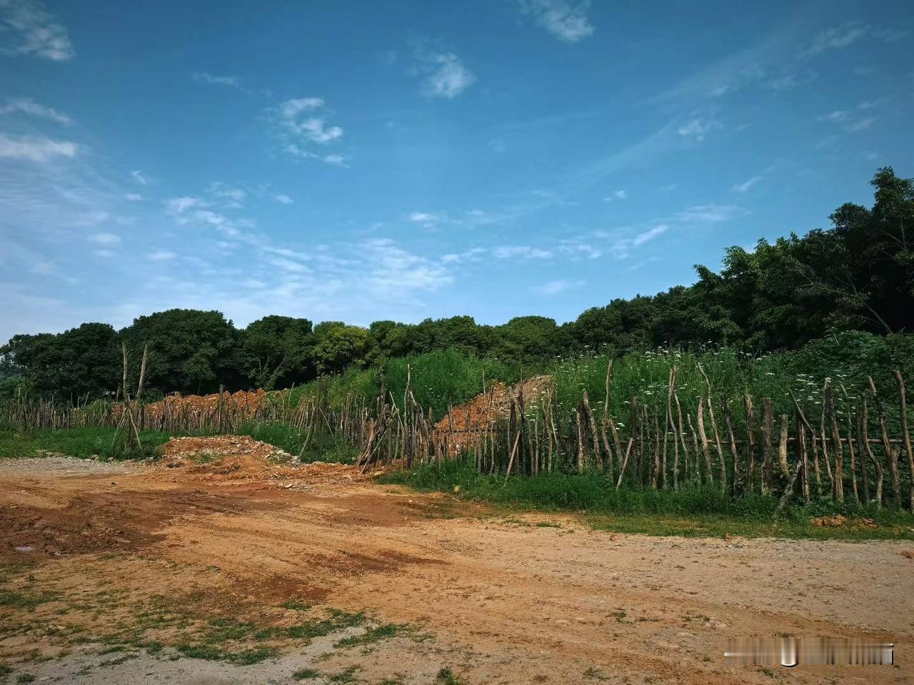 看大佛来了——摄于乐山市乌鱼坝。
图文原创：成᭙ⅈꪀᦔ²
春日生活打卡季