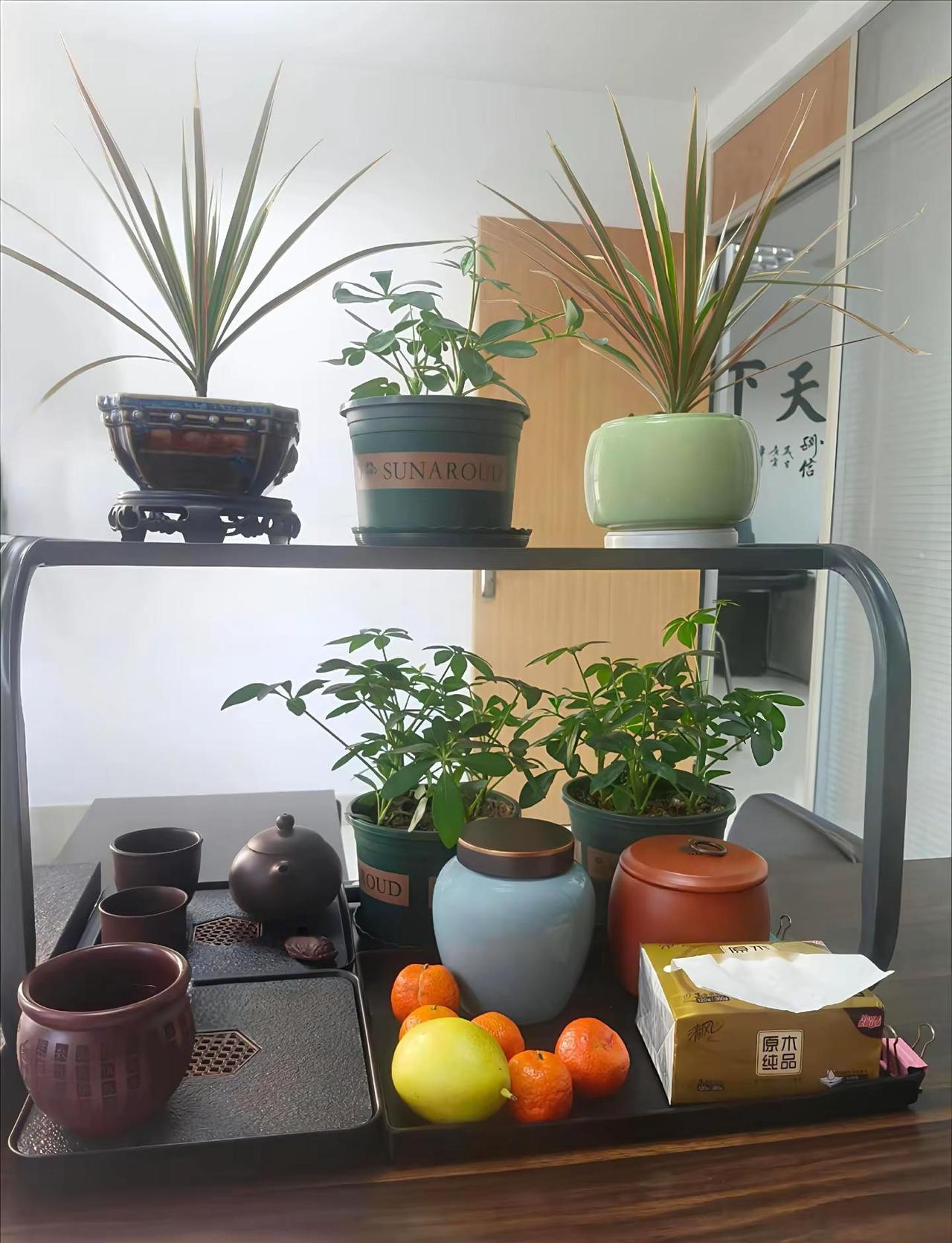 茶烟轻扬落花风，案上青绿映橘红。从容启程，共创未来！