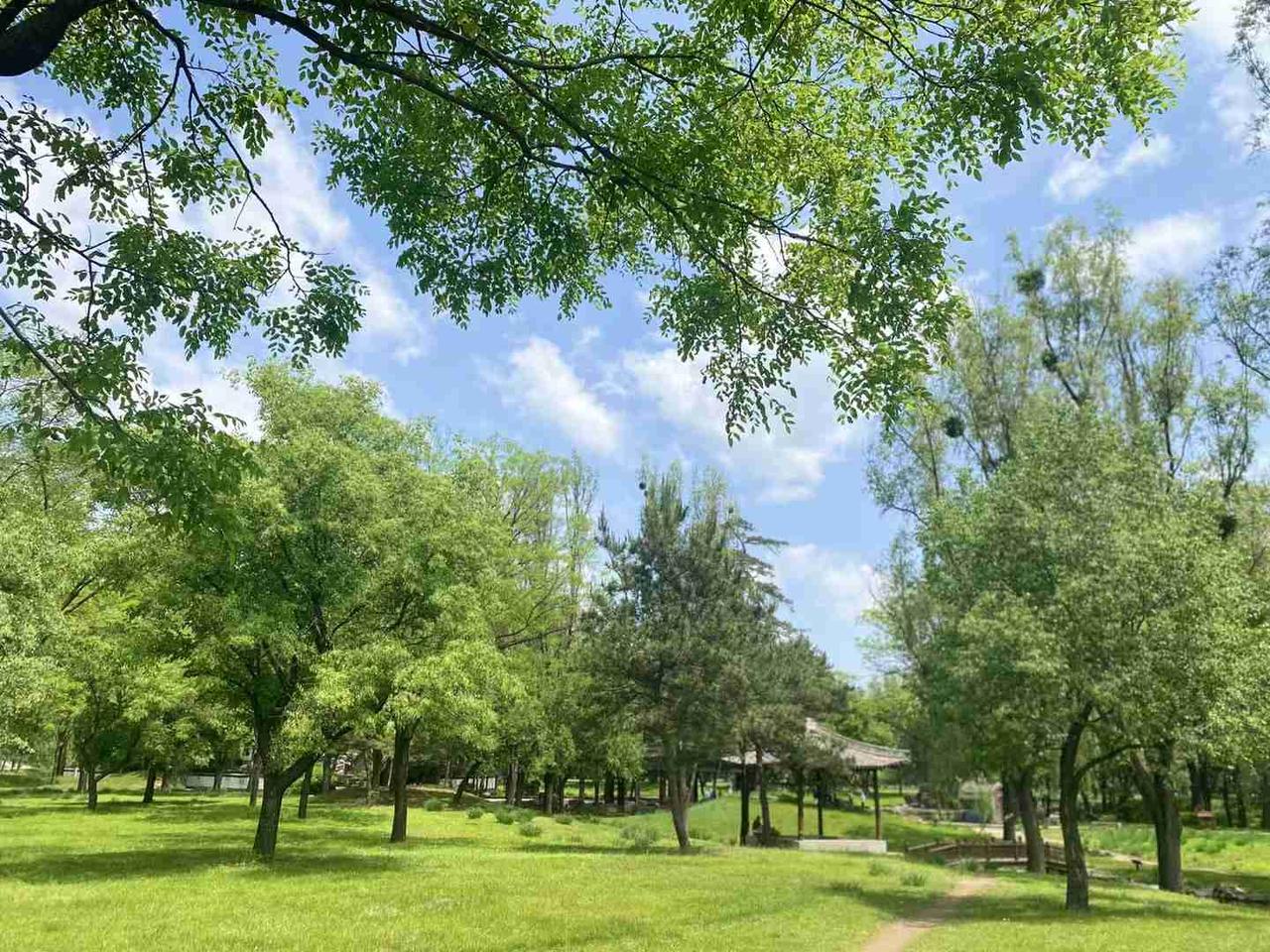我的今日状态：💰期待暴富
我这里的天气：☀️晴天