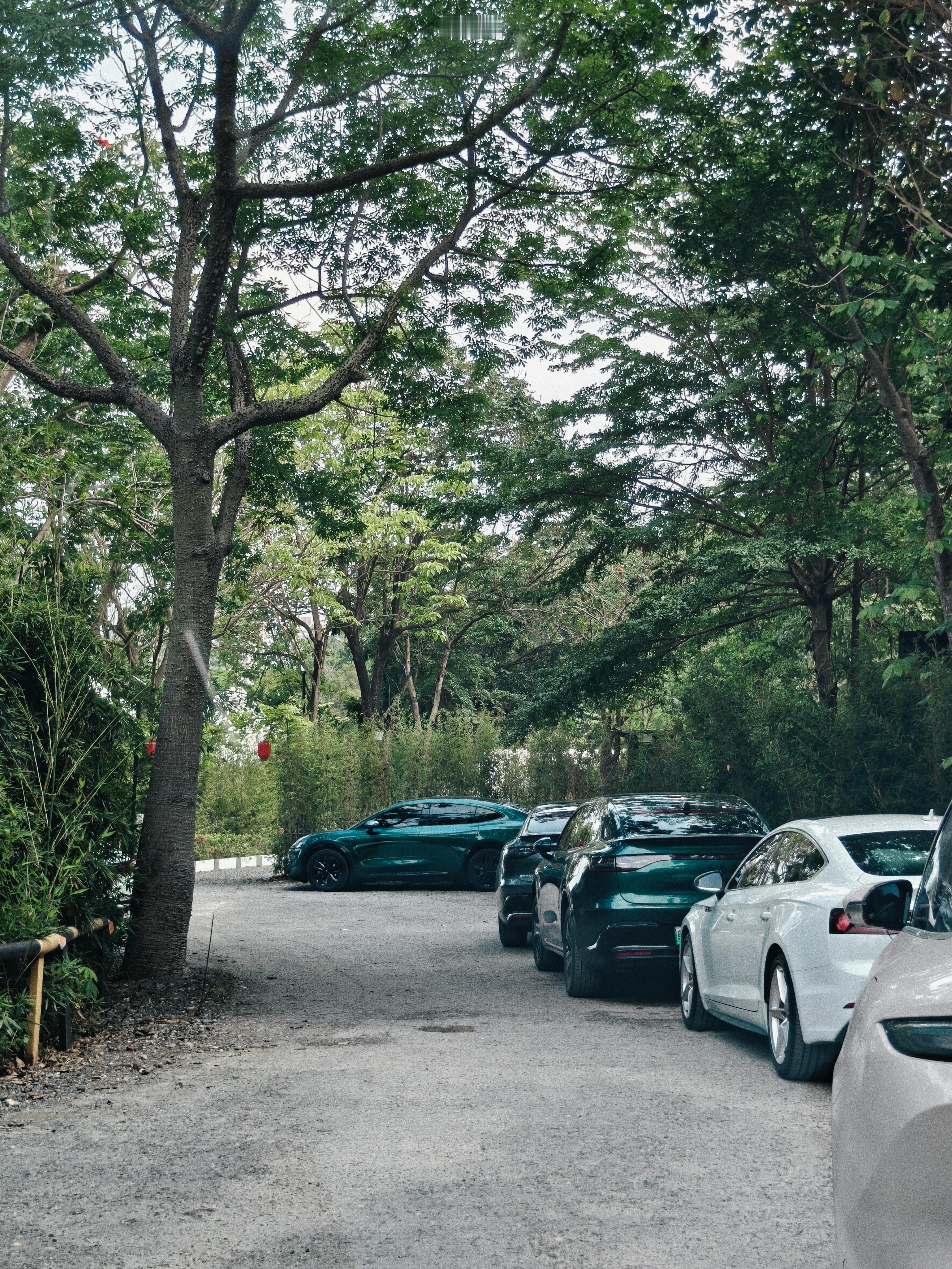 坂田还有这种地方？我以为只有城中村、办公楼和厂房 _(:з」∠)_ 深圳·云栖城