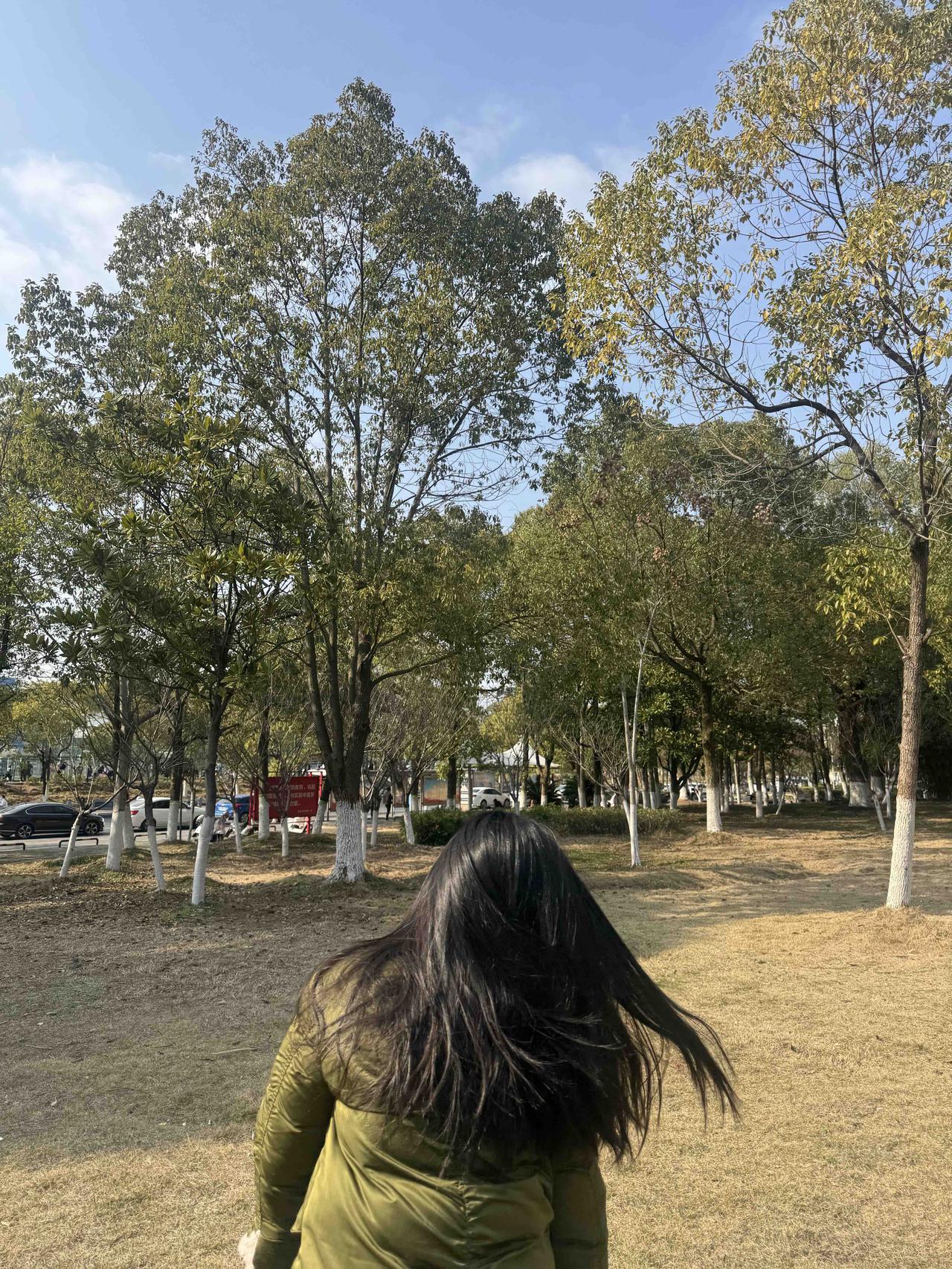 河南那个造起重机的崔培军这回算是把