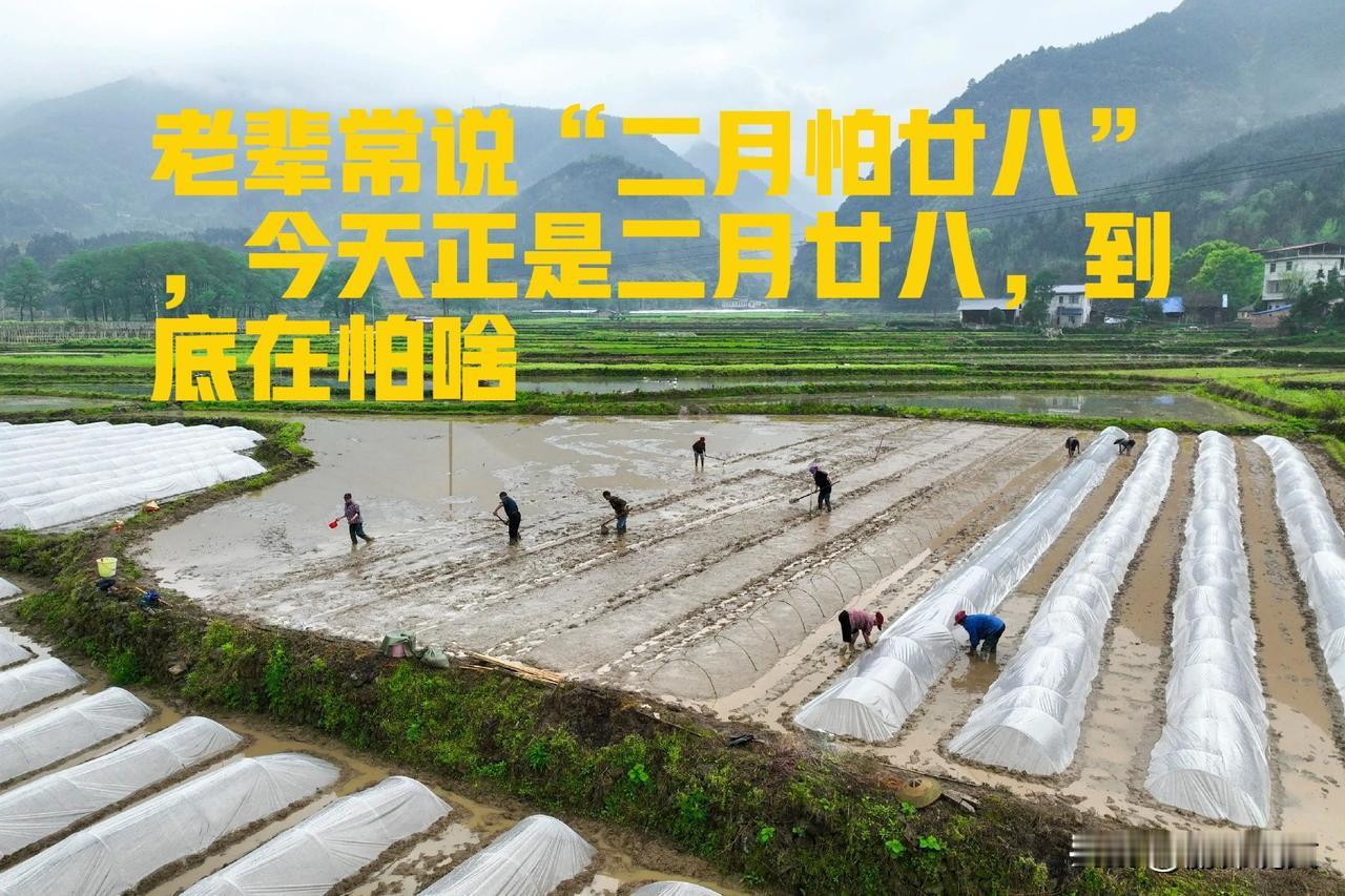 老辈常说“二月怕廿八”，今天正是二月廿八，到底在怕啥？答案来了
 




农村