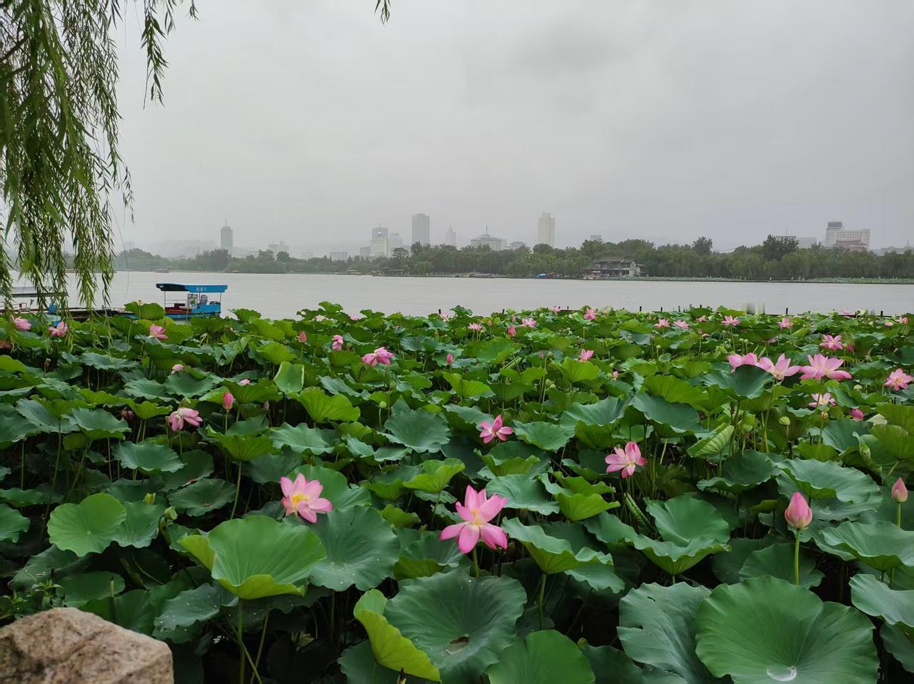 风摇竹叶清？恳上联
上联：风摇竹叶清
下联：月悬荷花醉